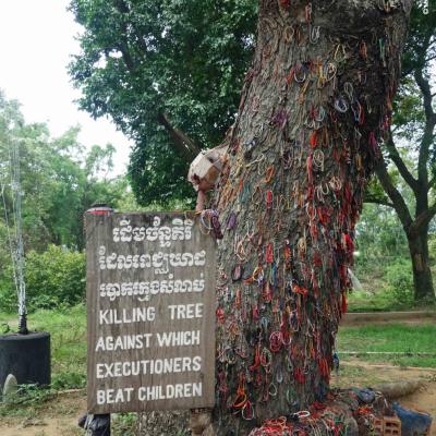 Camboja: Árvore usada como parede para matar crianças e bebês