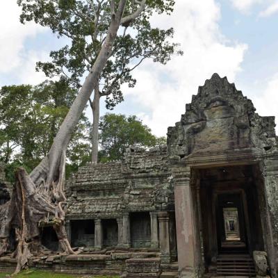 Camboja: Angkor Wat