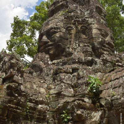 Camboja