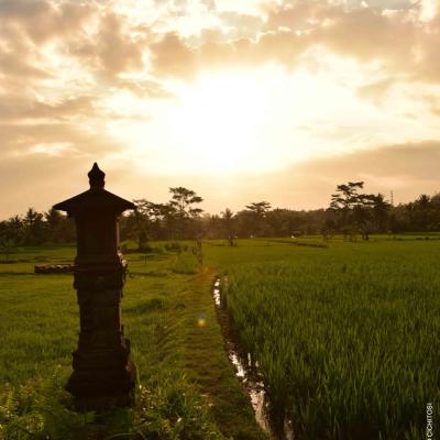  Indonésia: Pôr do sol em Ubud