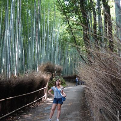 Japão: Bamboo Path em Kyoto