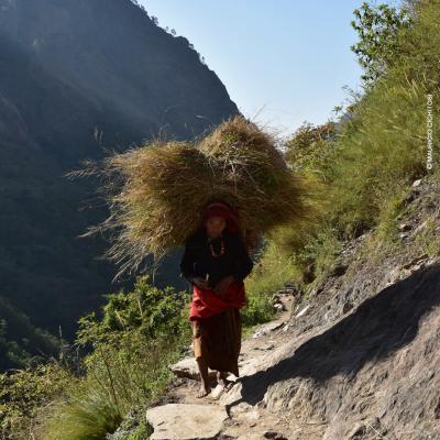 Nepal: Trilha para o Tsum Valley