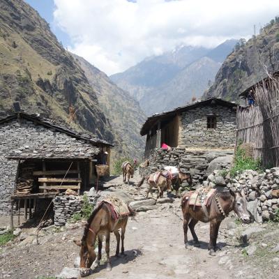 Nepal: Vilarejos pela trilha