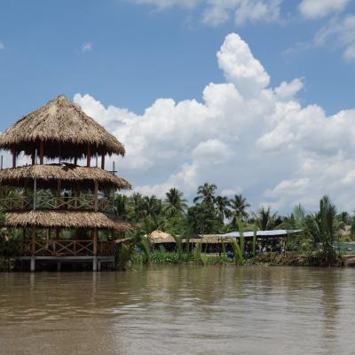 Vietnã: Rio Mekong Em Ho Chi Minh City