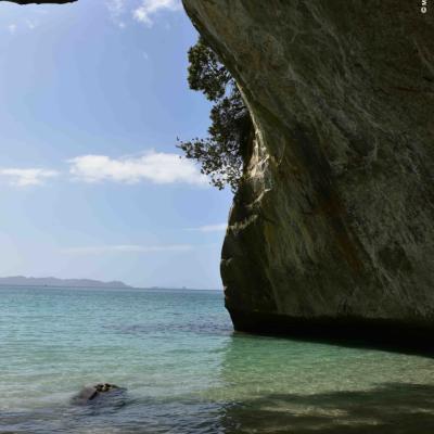 Nova Zelandia Cathedral Cove Peninsula De Coromandel