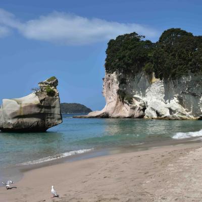 Nova Zelandia Cathedral Cove