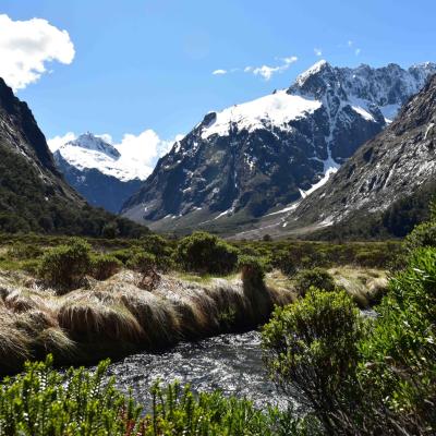 Nova Zelandia Estrada Rumo A Milford Sound