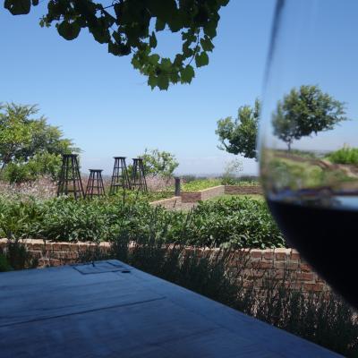 África do Sul: Vinícola em Stellenbosch