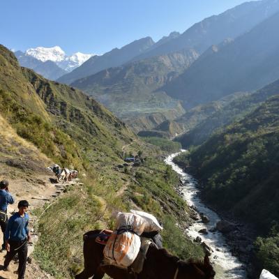 Nepal - Caminho rumo ao Tsum Valley