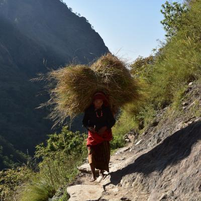 Nepal - Trilha para o Tsum Valley