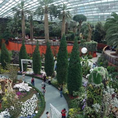 Singapura - Flowers Dome