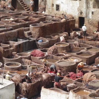 Marrocos: Trabalhadores no curtume em Fez