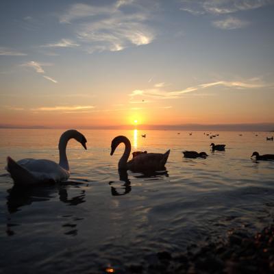 Suíça - Genebra, no Lago Léman