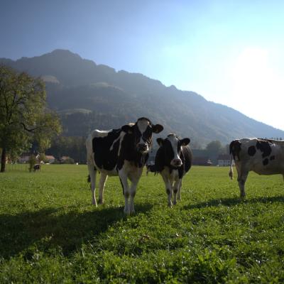 Suíça - Vilarejo de Broc