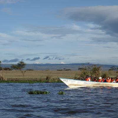 Quênia: Lago Naivasha