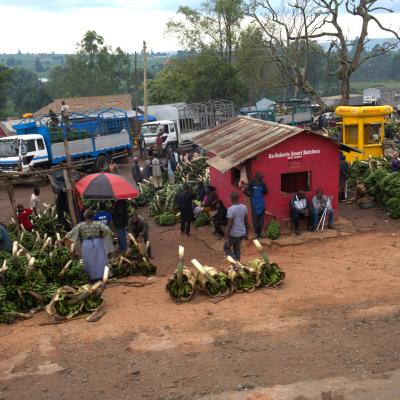 Uganda: Estrada próximo a Kampala