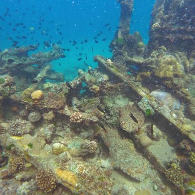 Ilhas Salomão - Navio japonês em Bonege