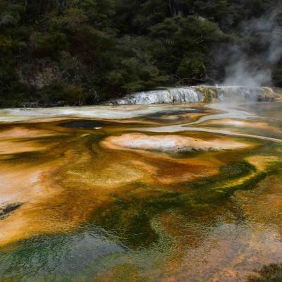 Nova Zelândia - Waimangu Volcanic Valley