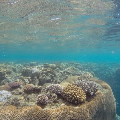 Vanuatu - Hideaway Island