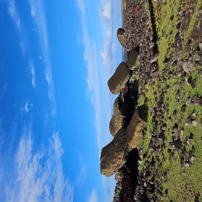 Ilha de Páscoa - Moais derrubados