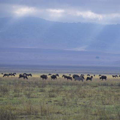 Tanzânia: Cratera de Ngorongoro
