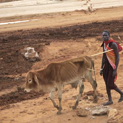 Tanzânia: Maasai pela estrada