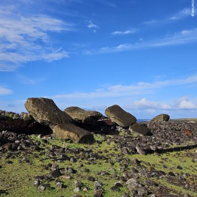 Ilha De Pascoa Moais Derrubados